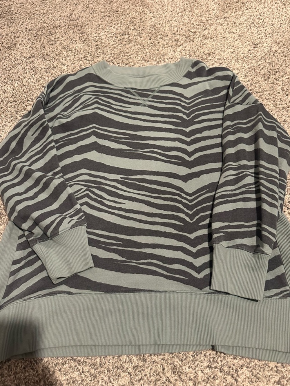 aerie Sage Green Pullover Sweatshirt